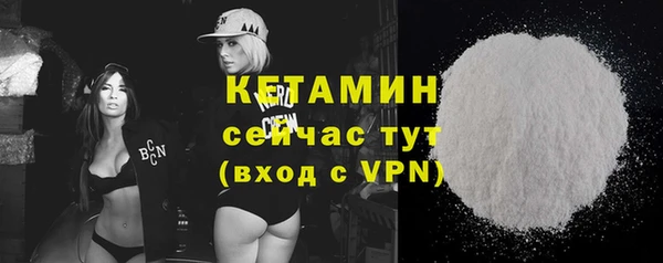 прущие грибы Надым
