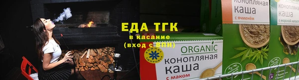 прущие грибы Надым