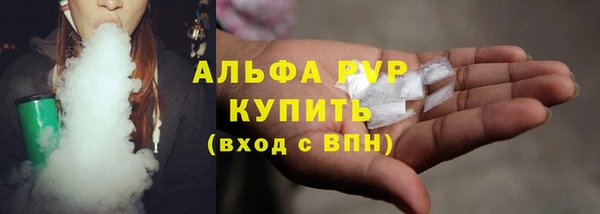 прущие грибы Надым
