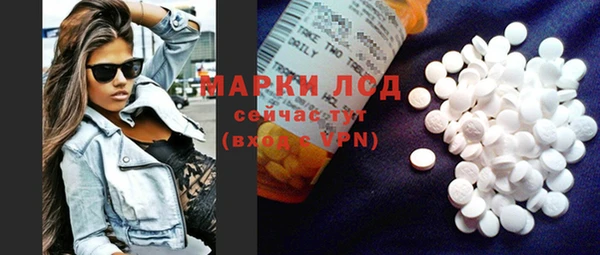 прущие грибы Надым