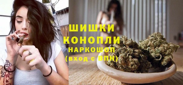 прущие грибы Надым
