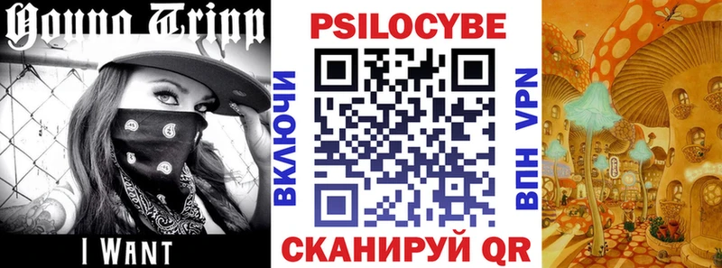 Галлюциногенные грибы GOLDEN TEACHER  Чапаевск 