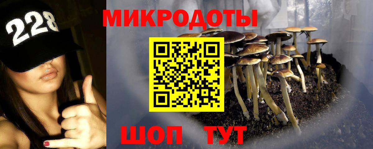 Чапаевск  Галлюциногенные грибы Psilocybe  Вход с VPN 