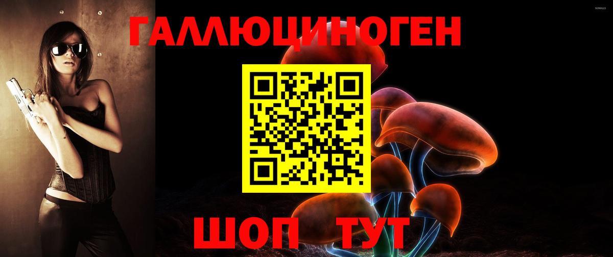 Псилоцибиновые грибы Psilocybe Чапаевск