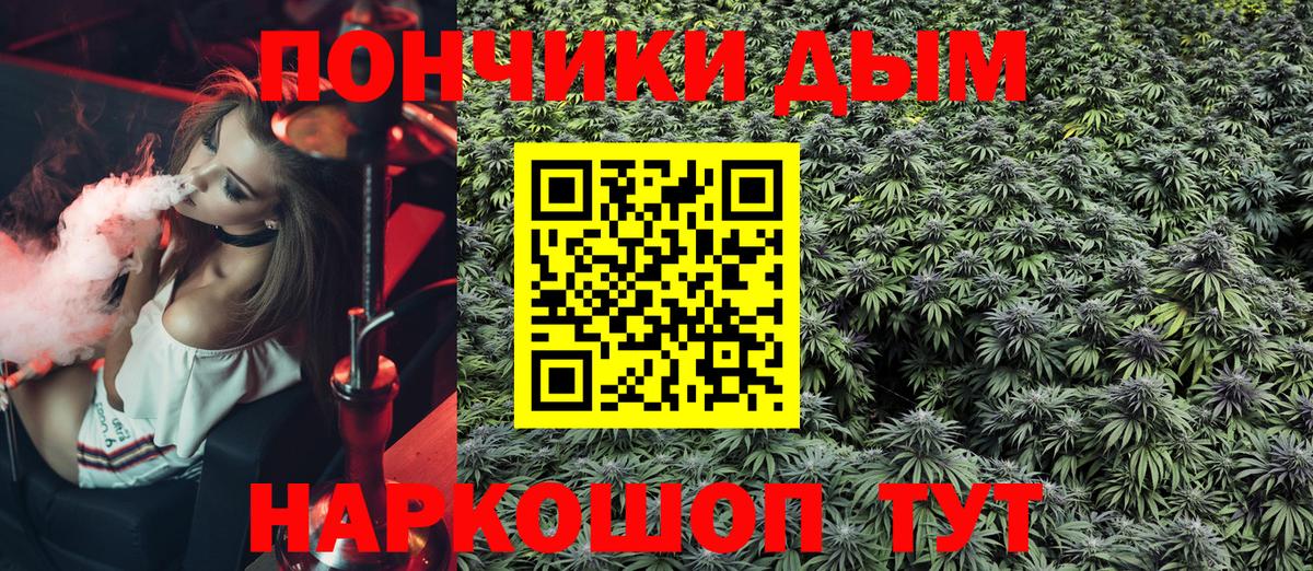 Бошки Шишки гибрид Чапаевск